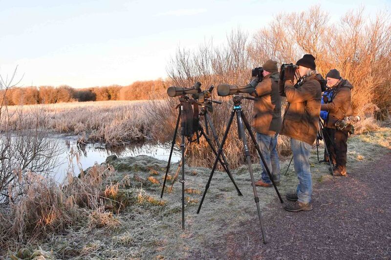 Birdwatchers at the Gearagh wetlands. Birdwatchers at the Gearagh wetlands.