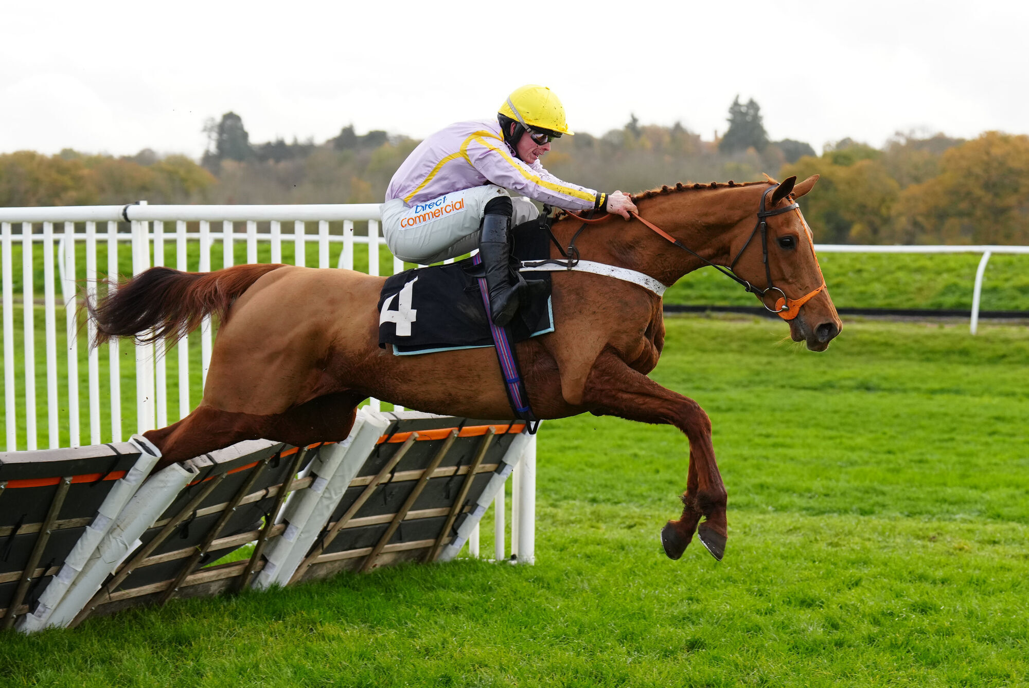 Luccia ruled out of Tolworth Hurdle
