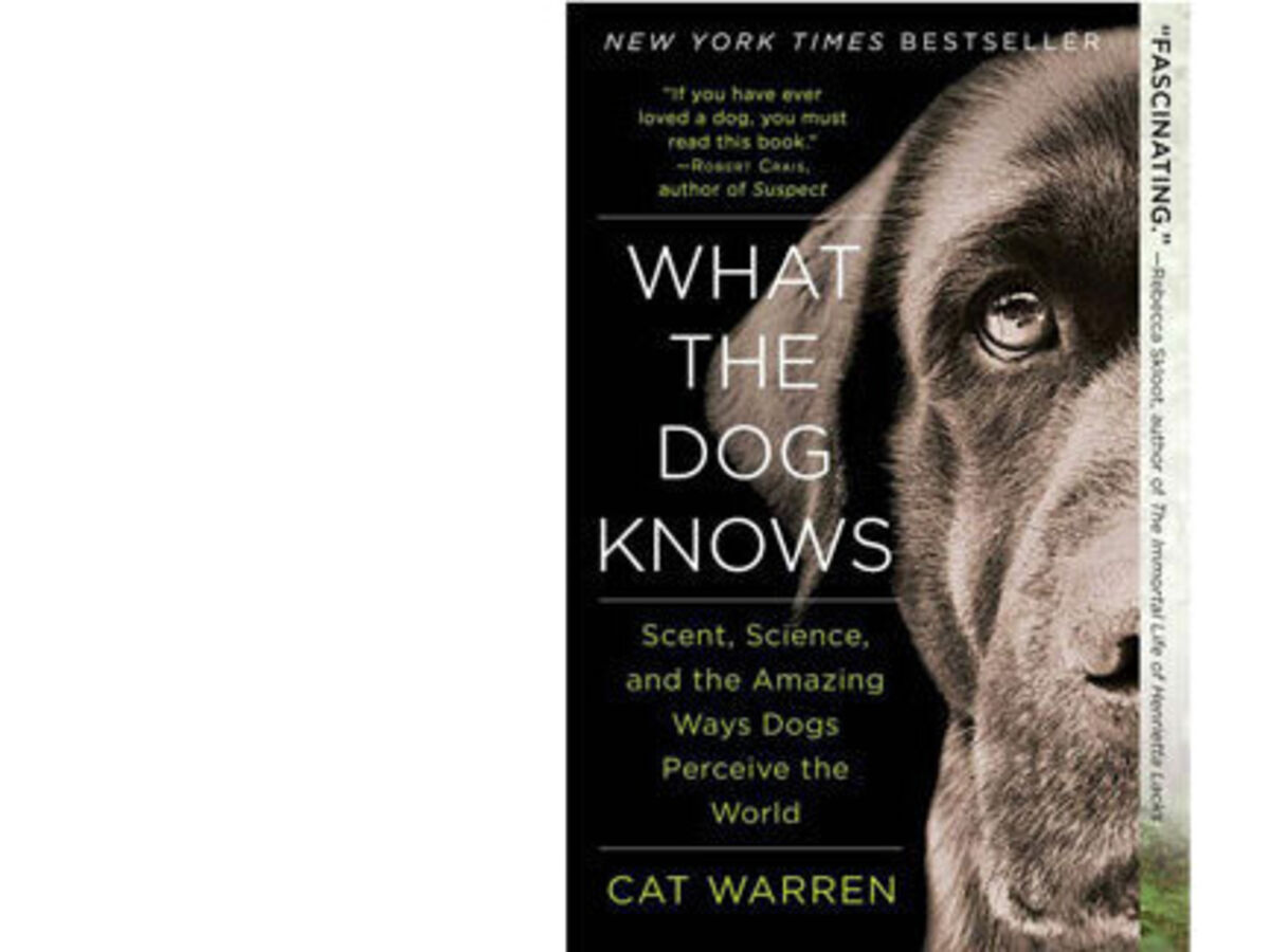 Do Dogs Know You By Scent