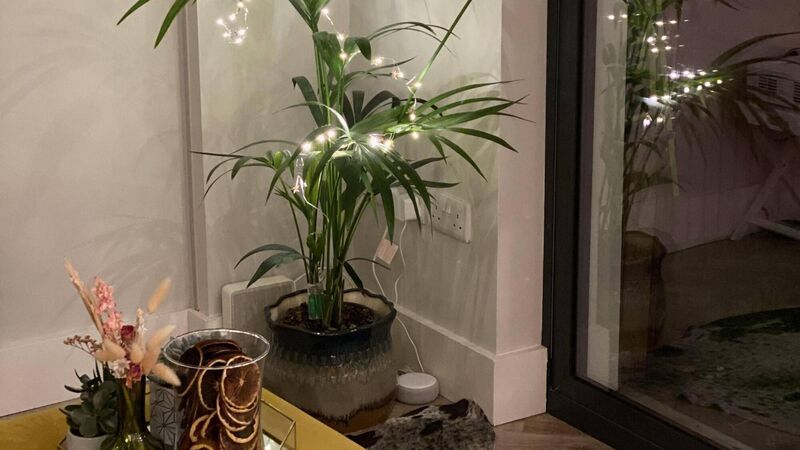 What to do with the Christmas tree-shaped hole in your sitting room