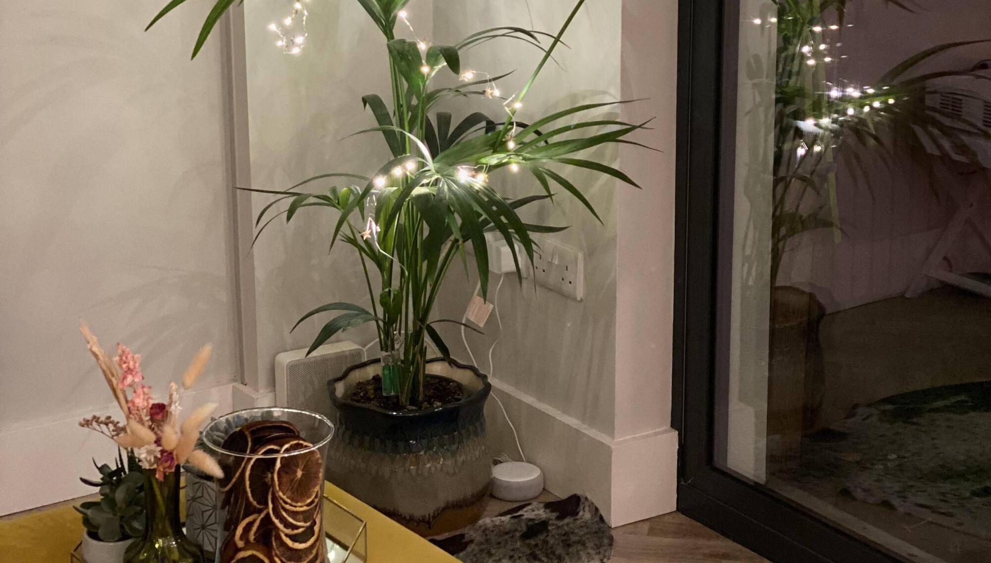 What to do with the Christmas tree-shaped hole in your sitting room