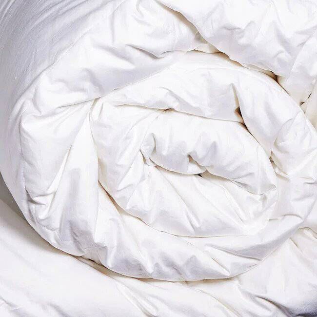 Hotel Superior Duck Feather &amp; Down Duvet from Home Store + More 