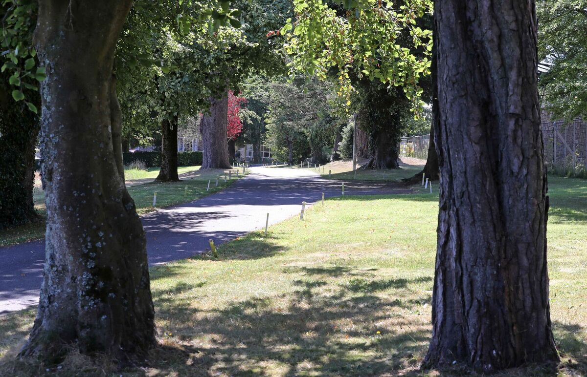 City development plan includes an objective to develop a new neighbourhood park on the site Picture: Jim Coughlan