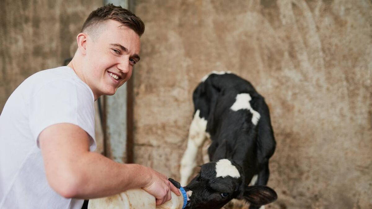 A future in ag is worth considering for those weighing up CAO choices - Vimarsana News