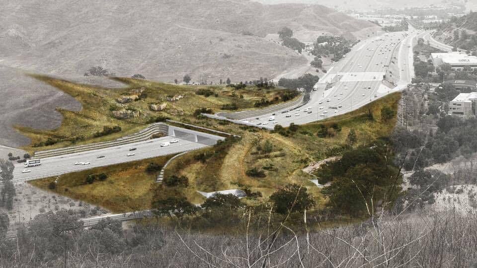 The Wallis Annenberg Wildlife Crossing which is under construction in California