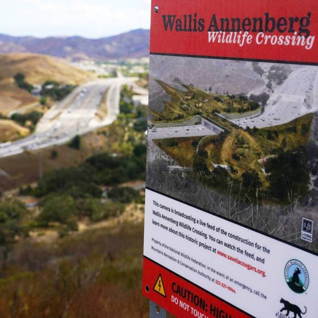 Wallis Annenberg Wildlife Crossing: Construction has officially begun on the Annenberg Wildlife Crossing which will be the world’s largest animal crossing. When completed, the crossing will stretch across ten lanes of the 101 Freeway and help local wildlife cross safely between critical biological hotspots throughout the region