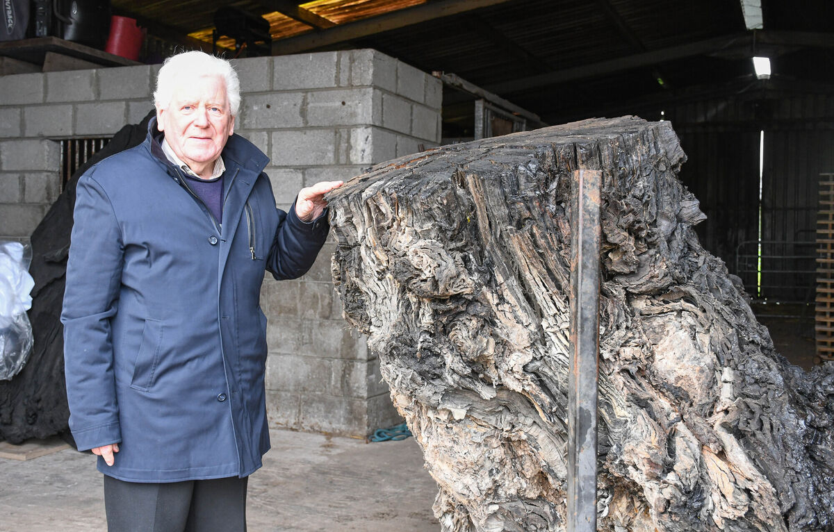 Tom Joe Murphy with his 3,500-year-old piece of oak, which was found in a bog near his home. Picture: Howard Crowdy