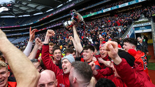 <p>Fossa players celebrate after the game. Picture: INPHO/Bryan Keane</p>