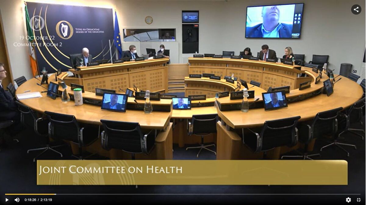 Committee meetings are broadcast on the Oireachtas TV channel and streamed live on oireachtas.ie which also has an archive of previous meetings. File picture: Oireachtas TV Committee meetings are broadcast on the Oireachtas TV channel and streamed live on oireachtas.ie which also has an archive of previous meetings. File picture: Oireachtas TV
