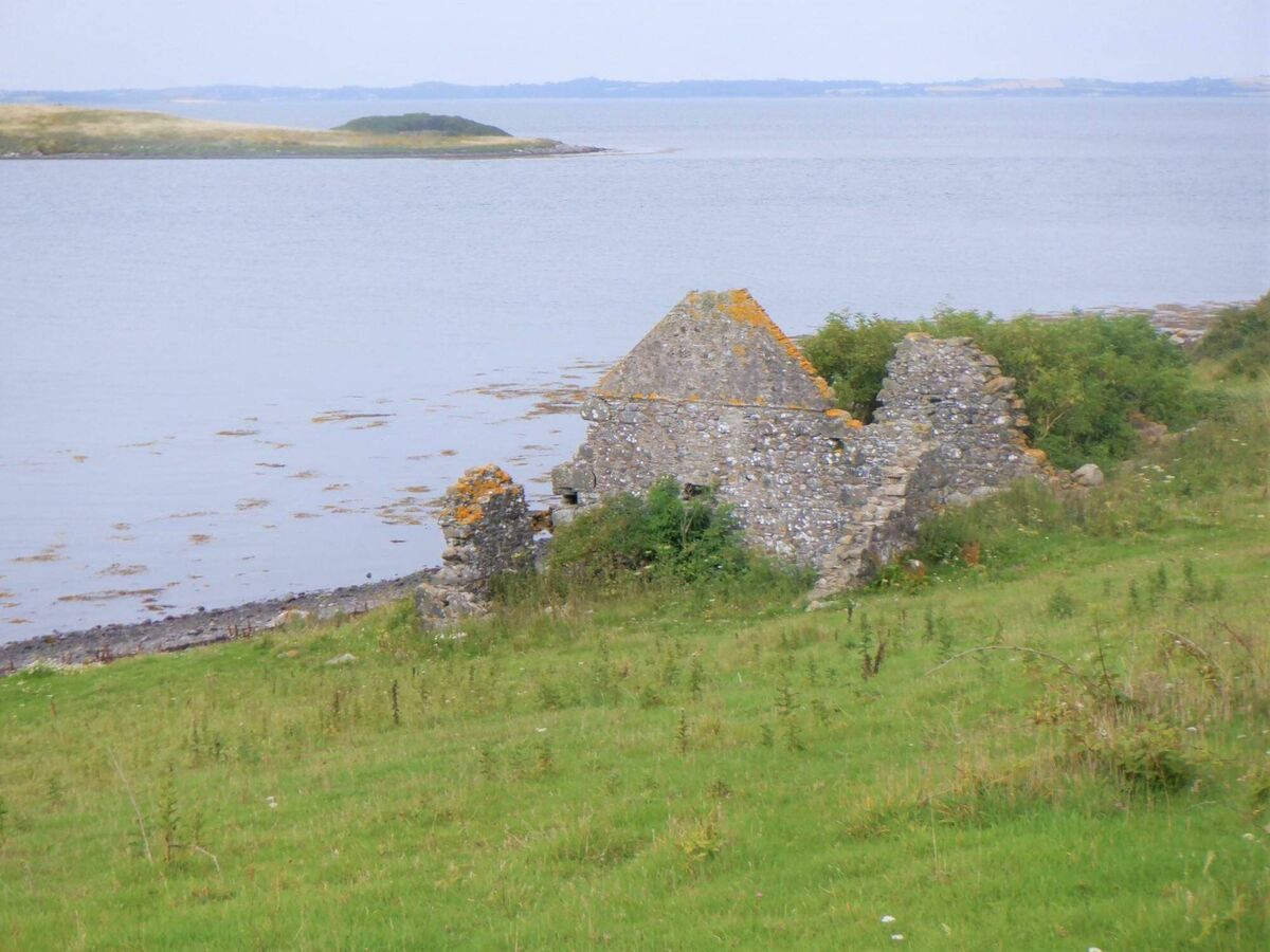 John Patton’s house on Roe Island was on the shoreline in a magnificent setting partly surrounded by a copse. Picture: Dan MacCarthy