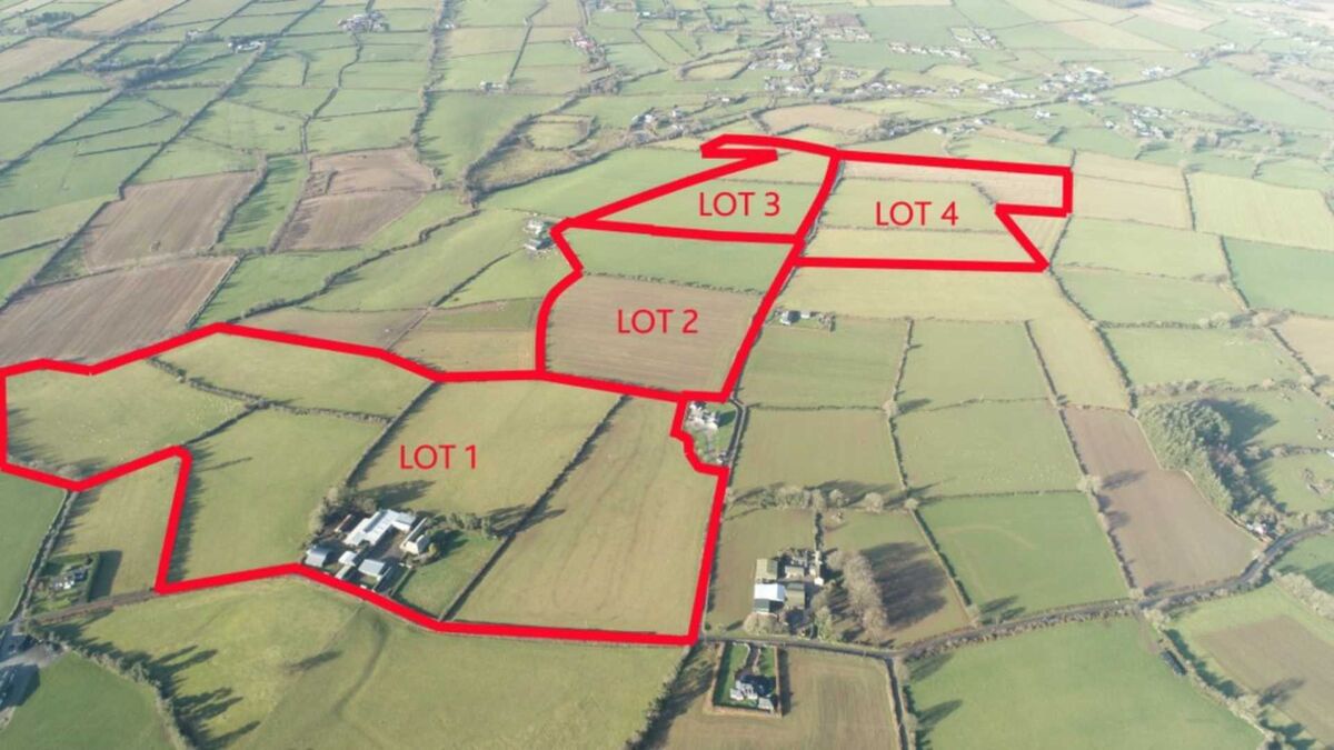 Aerial view of marked lots of Cromogue House, Bunclody Aerial view of marked lots of Cromogue House, Bunclody