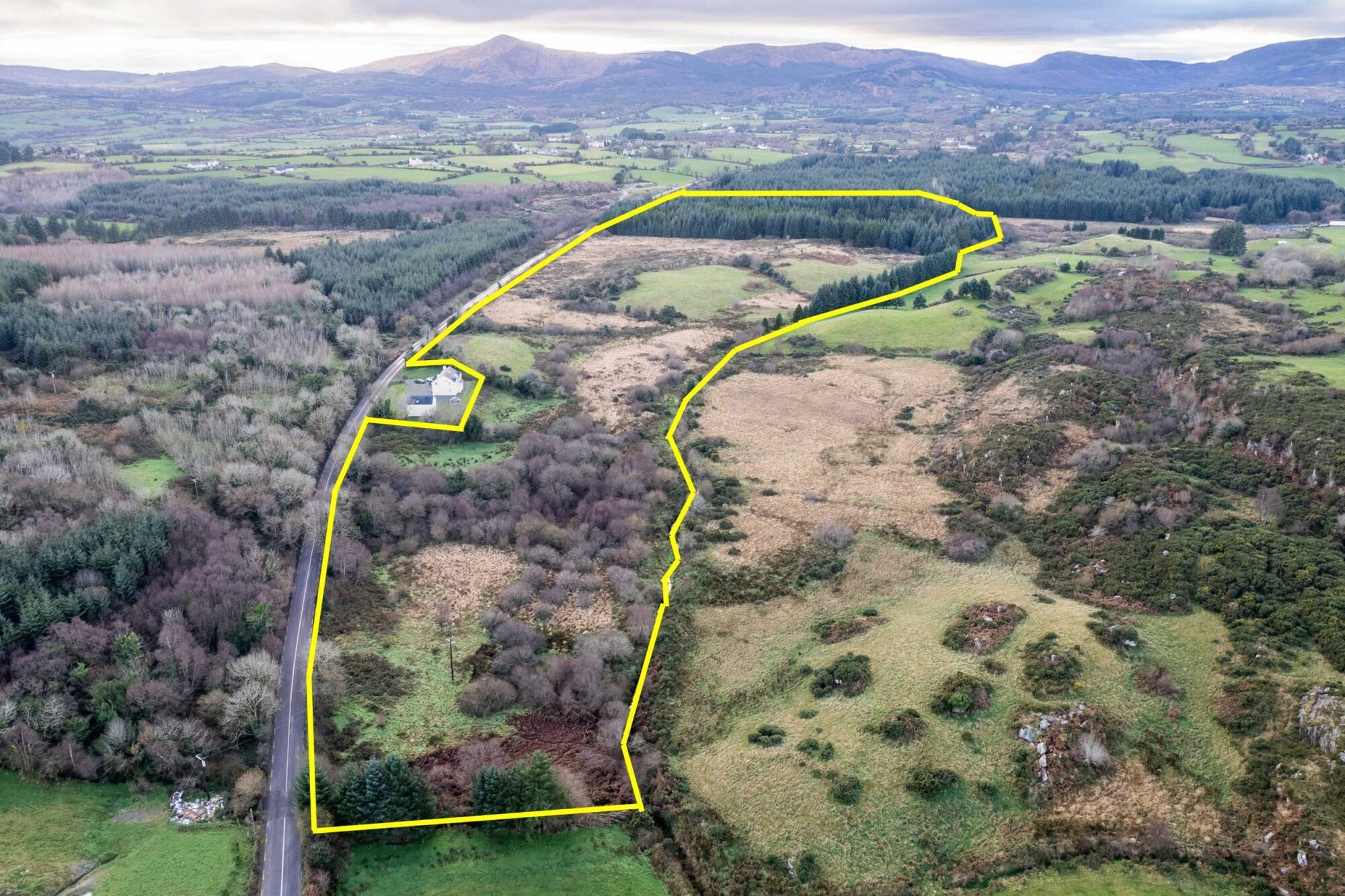31-acre woodland parcel could be a catch for new entrants