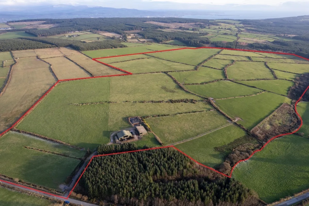 Marked aerial view of the 147-acre farm for sale at Toor north, Aglish, Co Waterford