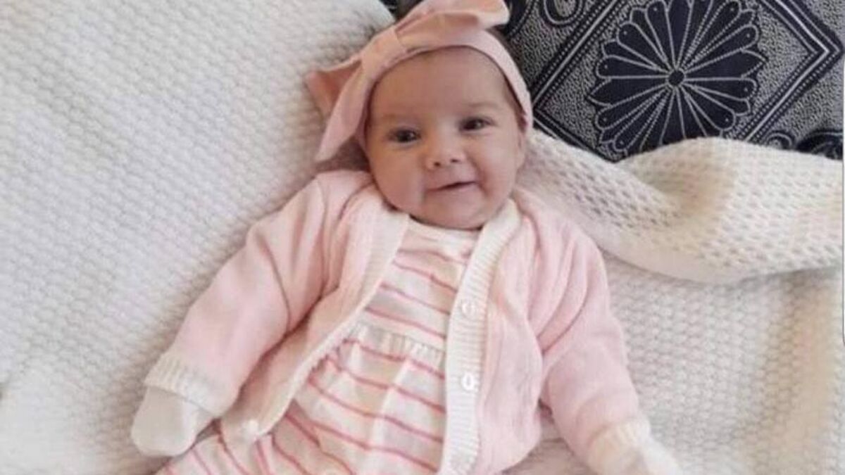 Inquest into four-month-old baby girl's mauling by jealous pet hears of dangers of dogs - Vimarsana News