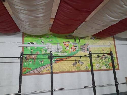 ICONIC: The mural that hangs in the St Martin's gym. Pic: Maurice Brosnan ICONIC: The mural that hangs in the St Martin's gym. Pic: Maurice Brosnan