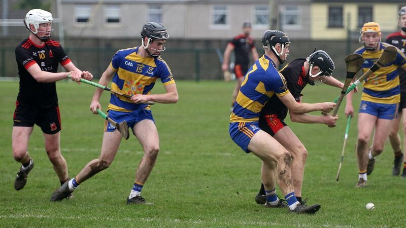 Brendan Ryan full of praise for Cashel‘s ‘great crop’