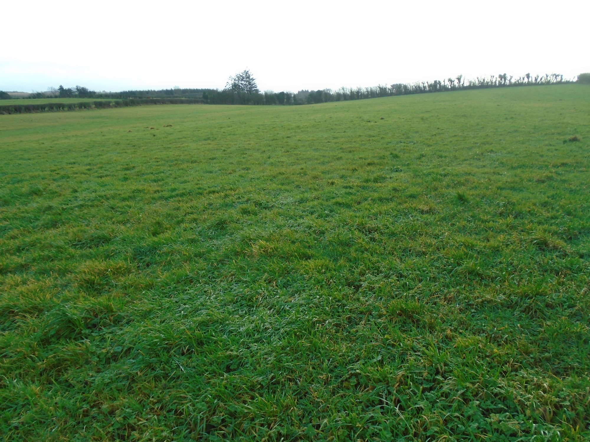 21-acre holding for March public auction in Kilkenny