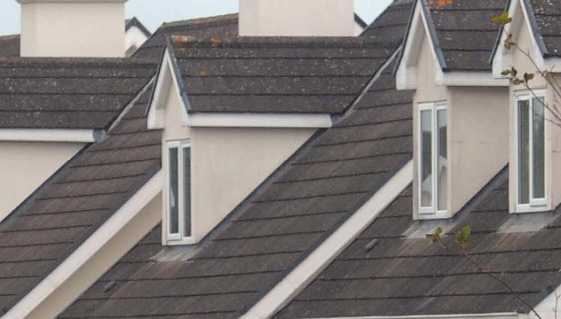 The IPI is highly influential in the area of planning. Its members work for local authorities, developers, An Bord Pleanála (ABP), and in academia. Picture: Denis Minihane.