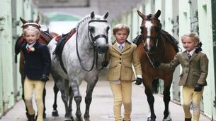 Hurdles ahead for equine sector with Brexit