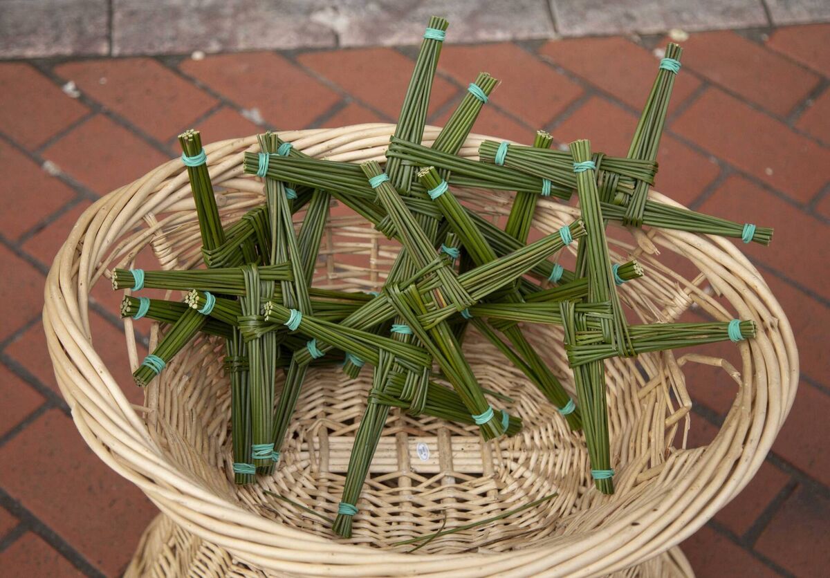 St Brigid crosses. Picture: Cillian Kelly St Brigid crosses. Picture: Cillian Kelly