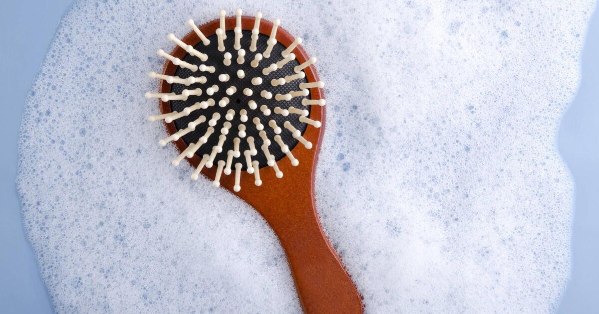 Life Hack How often should I clean my hair brush?