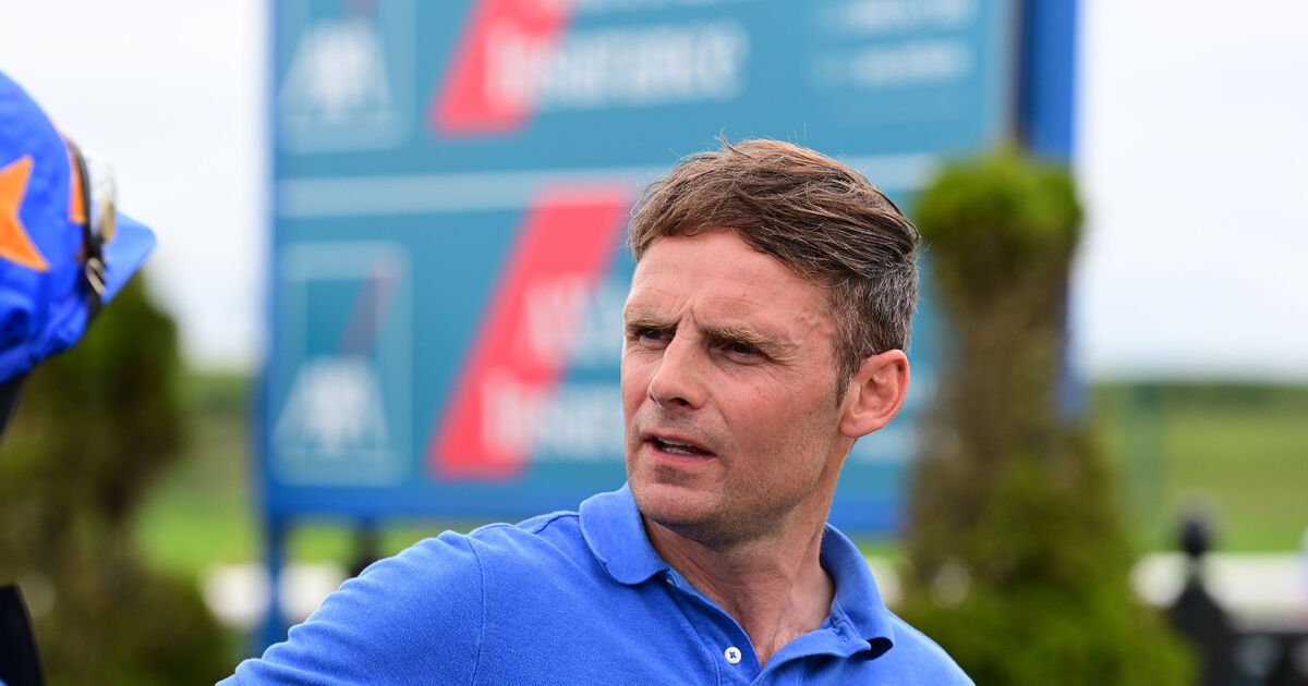 Ronan McNally handed 12year ban from Irish racing