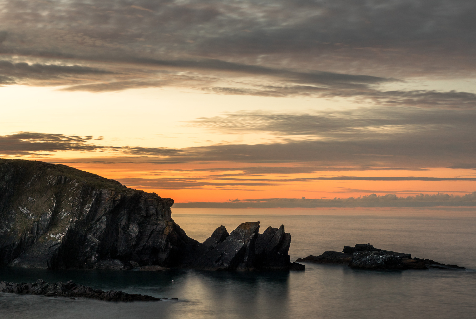 Proposed marine protection bill a 'huge opportunity' to enhance biodiversity protection
