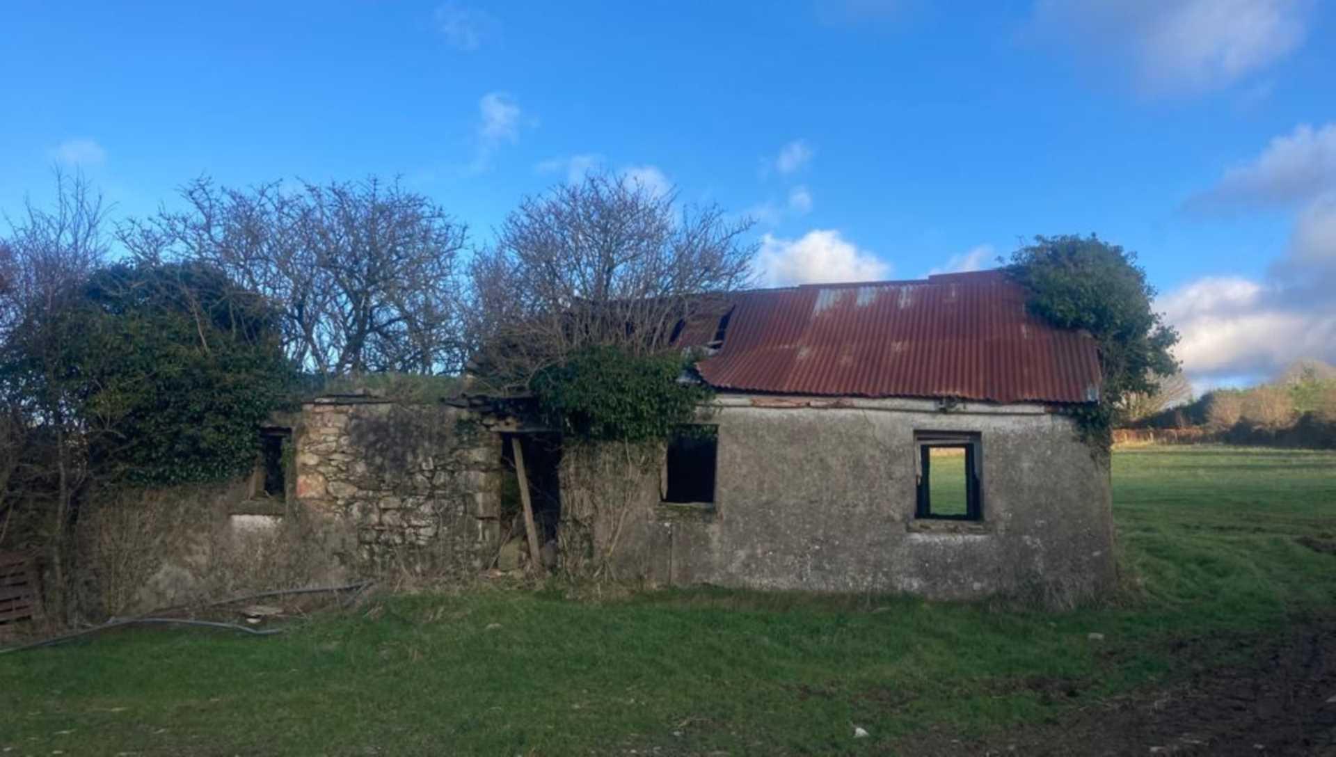 37-acre farm next to Avoca set for online auction