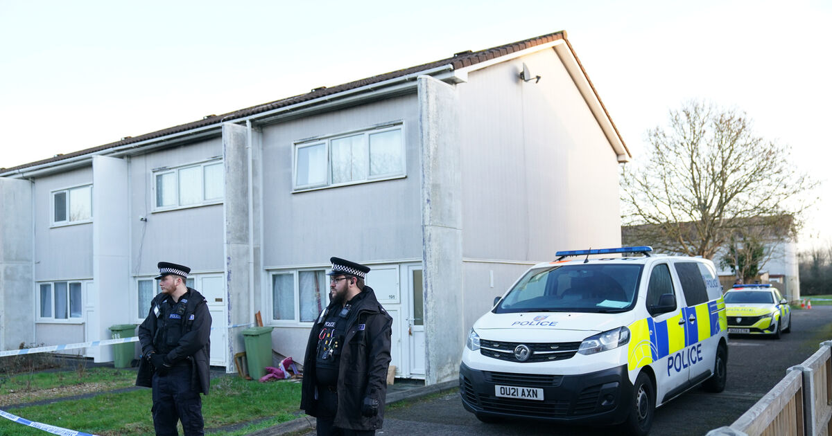 Girl, four, mauled to death by dog in England was a ‘very happy child