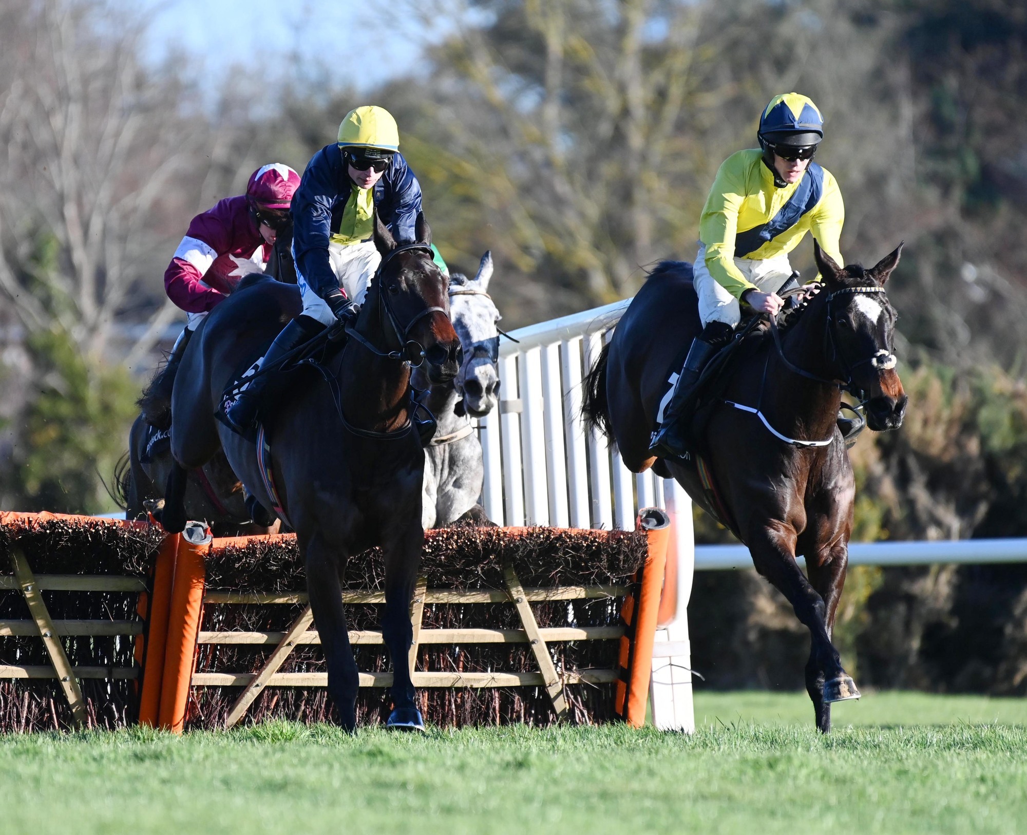 Dublin Racing Festival day one tips: Good Land can strike in opening race