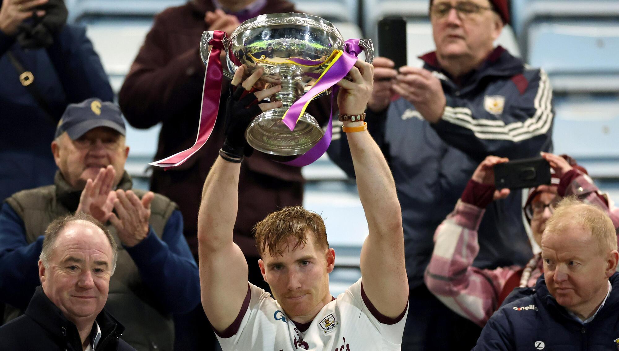 Double delight for Galway as Shefflin's men douse Wexford ambitions