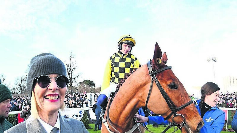 State Man now a credible Champion Hurdle contender