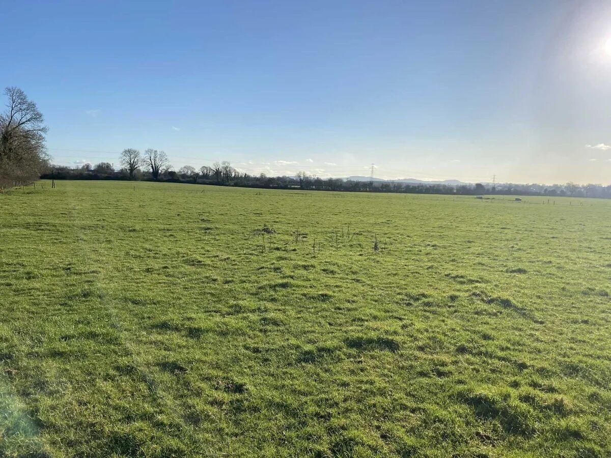 The selling agent Tom Crosse describes 45-acre holding as a “truly outstanding and very valuable holding of prime agricultural land, laid out in one division and enjoying superb soil and land quality.