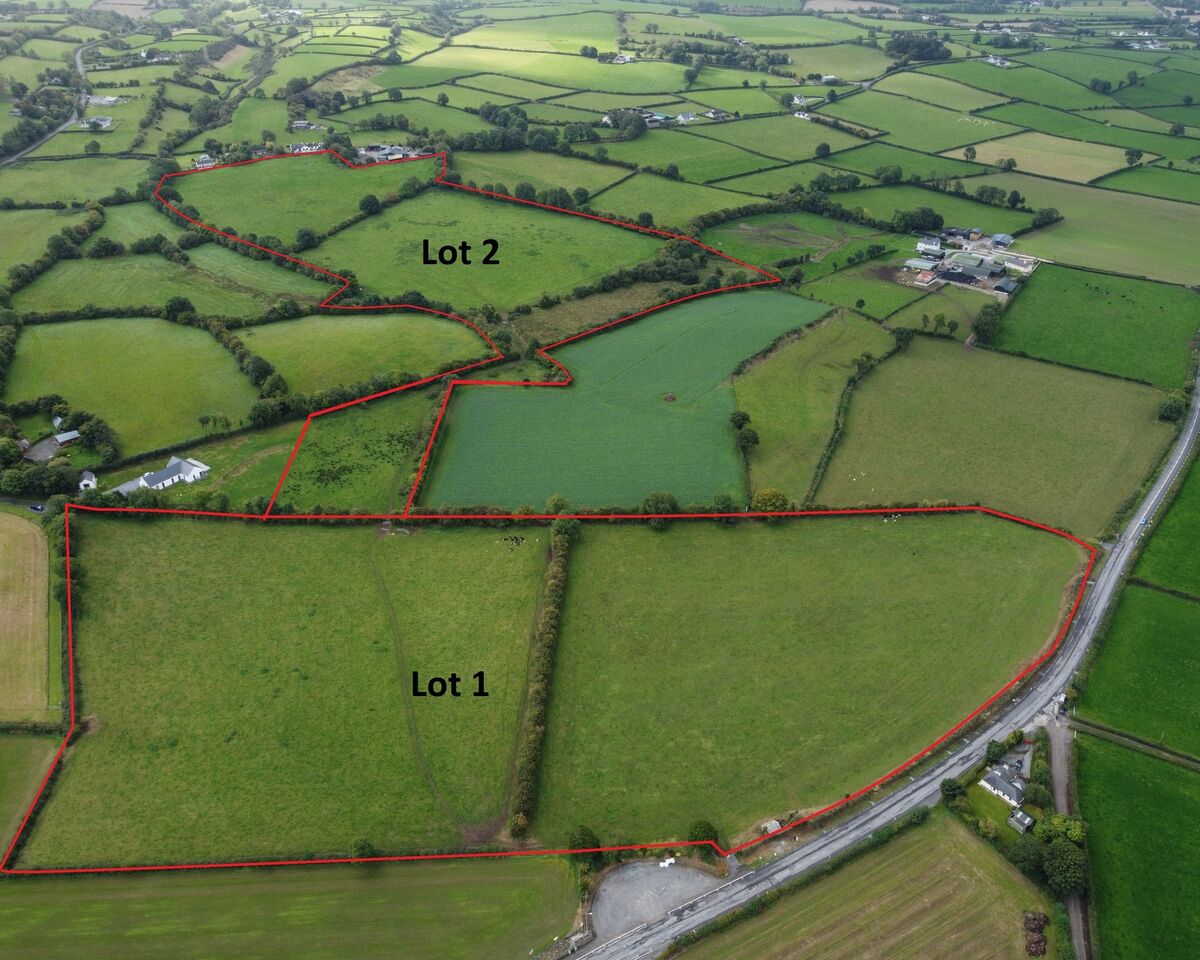 Aerial view of the lots for sale of the 40-acre farm at Corbetstown, Kilkenny. Aerial view of the lots for sale of the 40-acre farm at Corbetstown, Kilkenny.