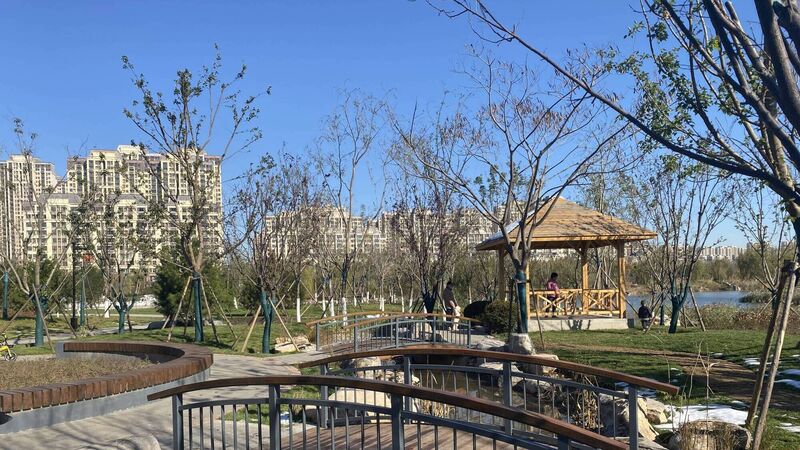 Peter Dowdall: 'Our gardens play a critical role in offsetting the effects of climate change' 