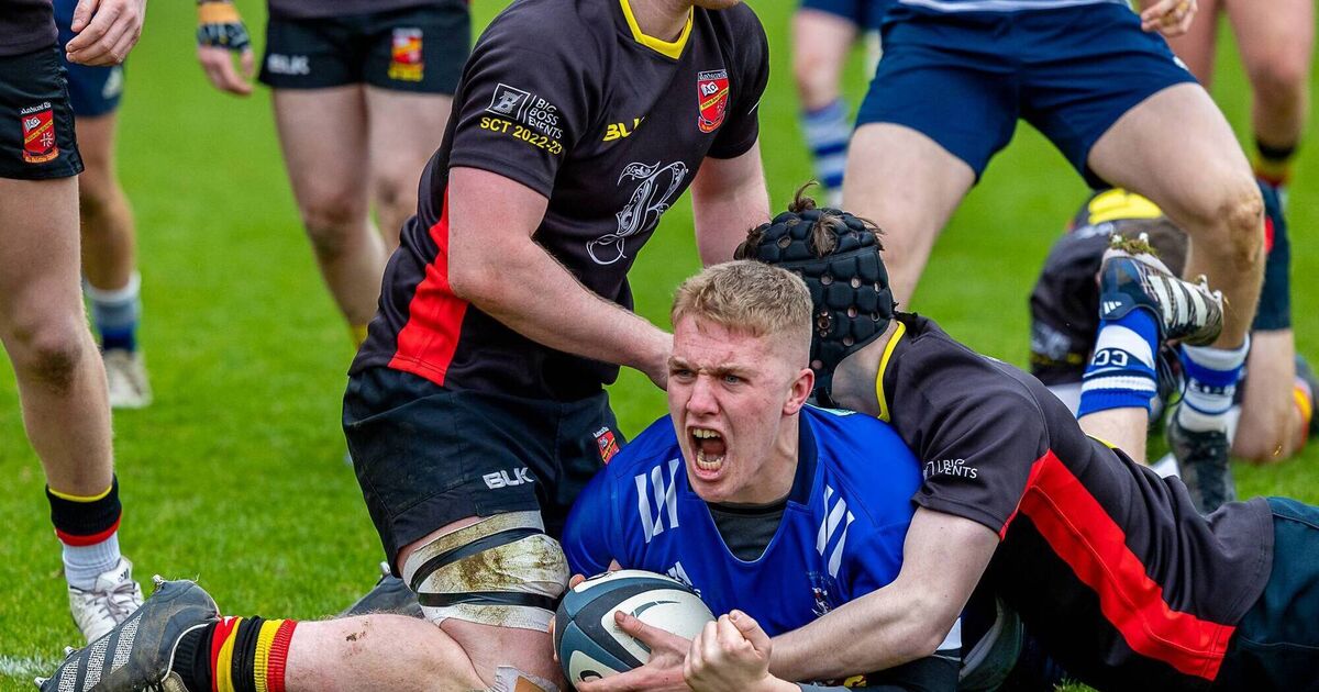 Holders Crescent Comp seal Munster Senior Cup final four berth with Ardscoil triumph