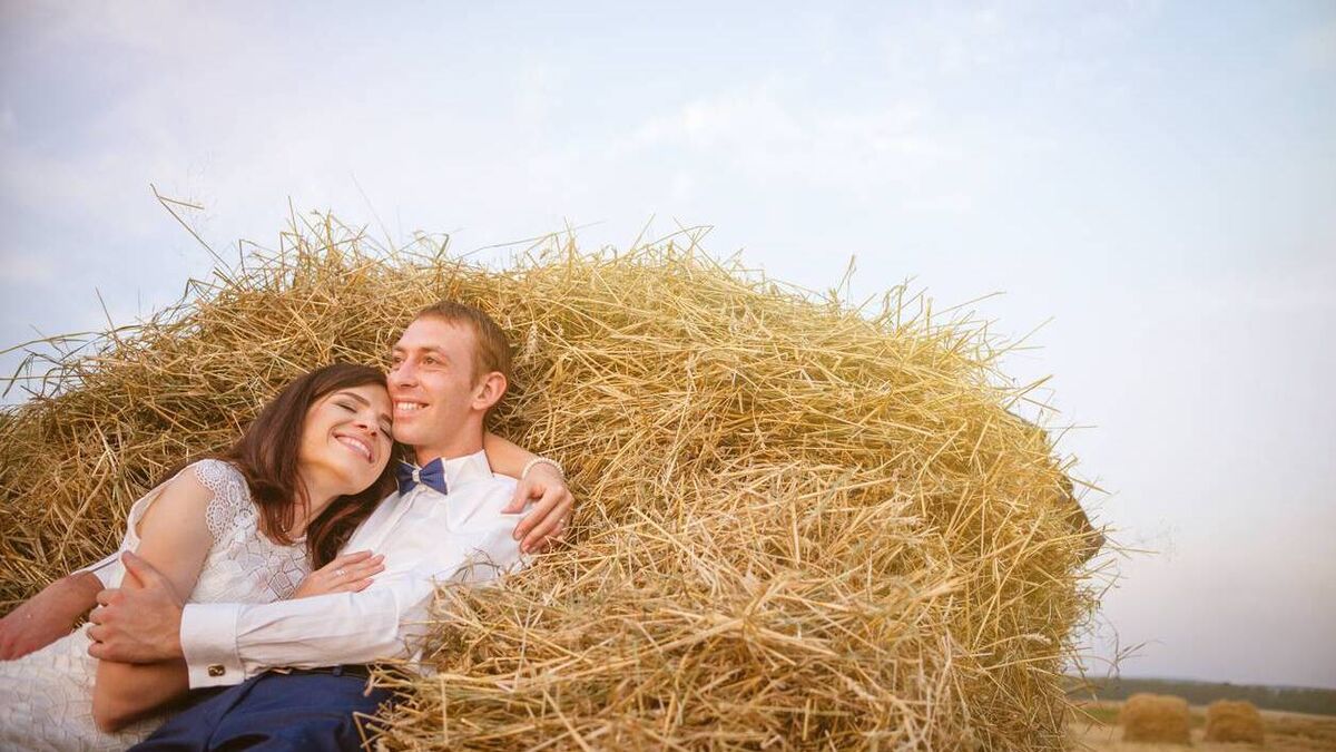 LOVE and the LAND - the Denis Lehane guide to avoiding a farm divorce - Vimarsana News