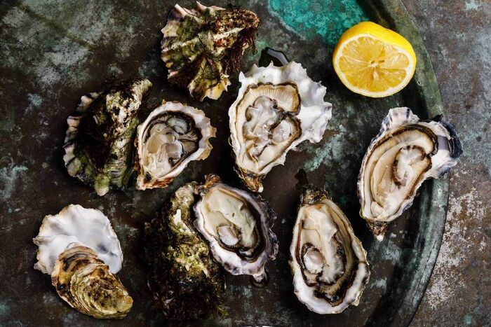 Ballymaloe Oysters with Champagne Sauce