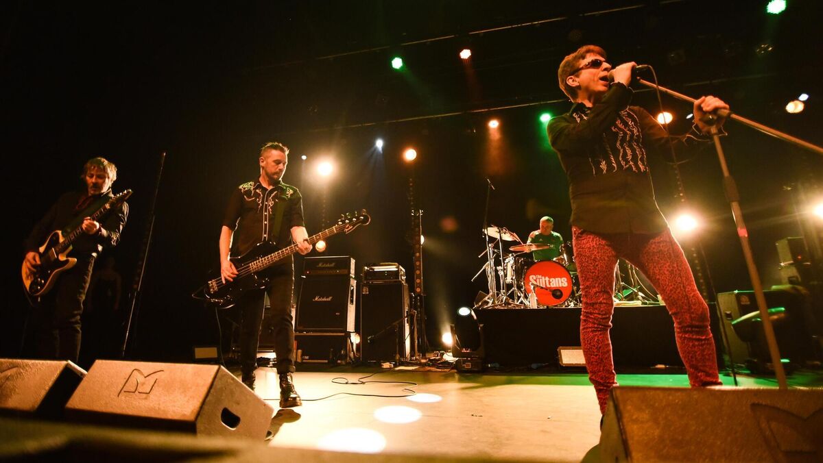 Sultans of Ping at Cork Opera House on Friday. Picture: Cian O'Regan.