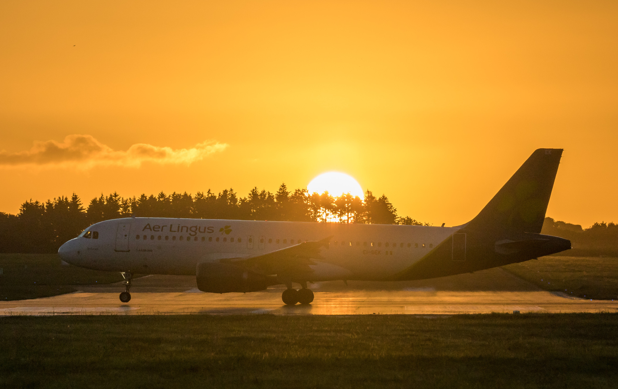 Surge in sun holidays sees Aer Lingus use larger aircraft on short-haul routes 