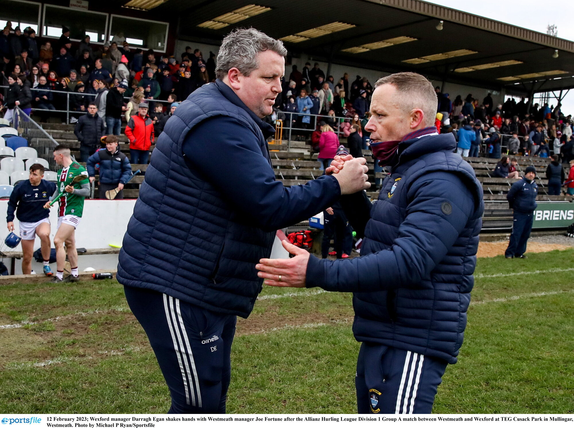 Wexford wasteful in front of goal in Westmeath win 