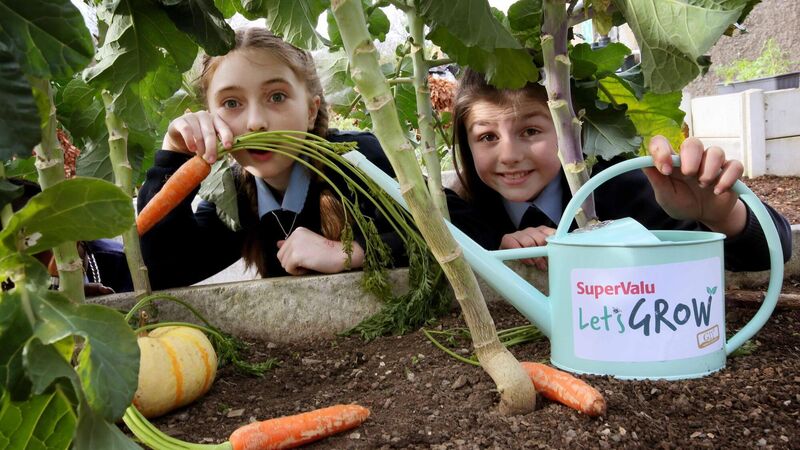 Tots to Teens: Learn to sow and grow with GIY