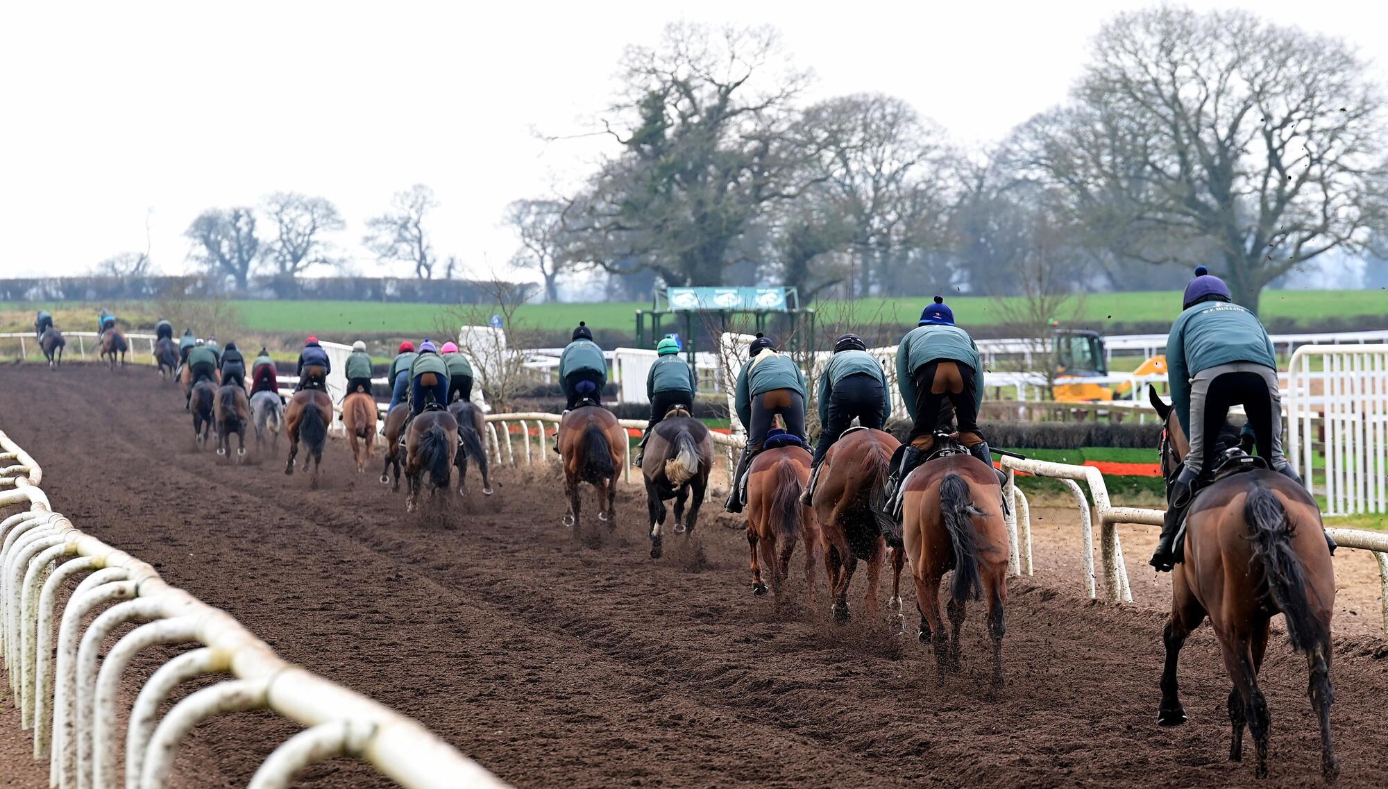 Willie Mullins: Success didn’t ‘land here from the planet Mars’ 