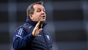 <p>MESSAGES: Waterford manager Davy Fitzgerald used a team official on the terrace to relay messages to the field. Pic: Piaras Ó Mídheach/Sportsfile</p>