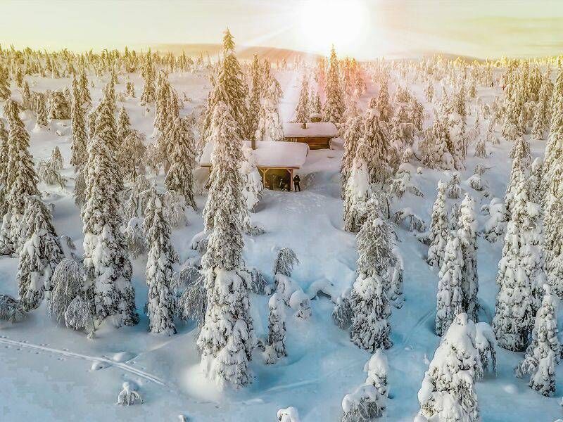 The snowy landscapes of Lapland