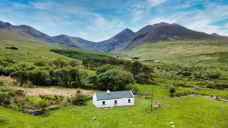 Killarney auction ends with sale price of over €13k an acre