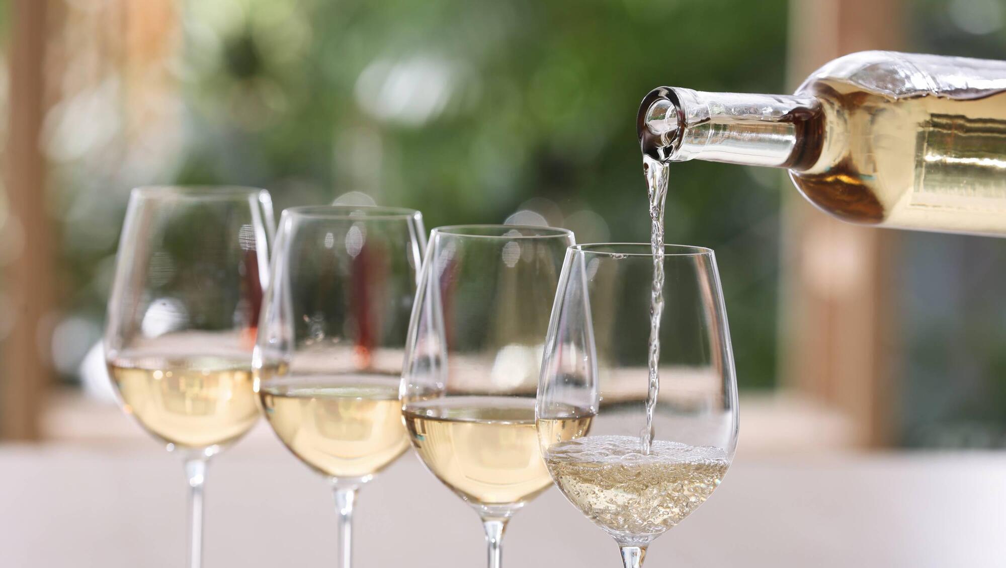 Wine with Leslie: A South African Pinot Grigio for under €10