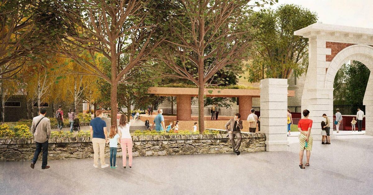 Plan to remove green space and trees from Cork City park criticised