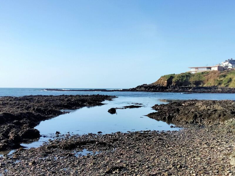 The shore at Ballycotton Island Small. Picture: Dan MacCarthy