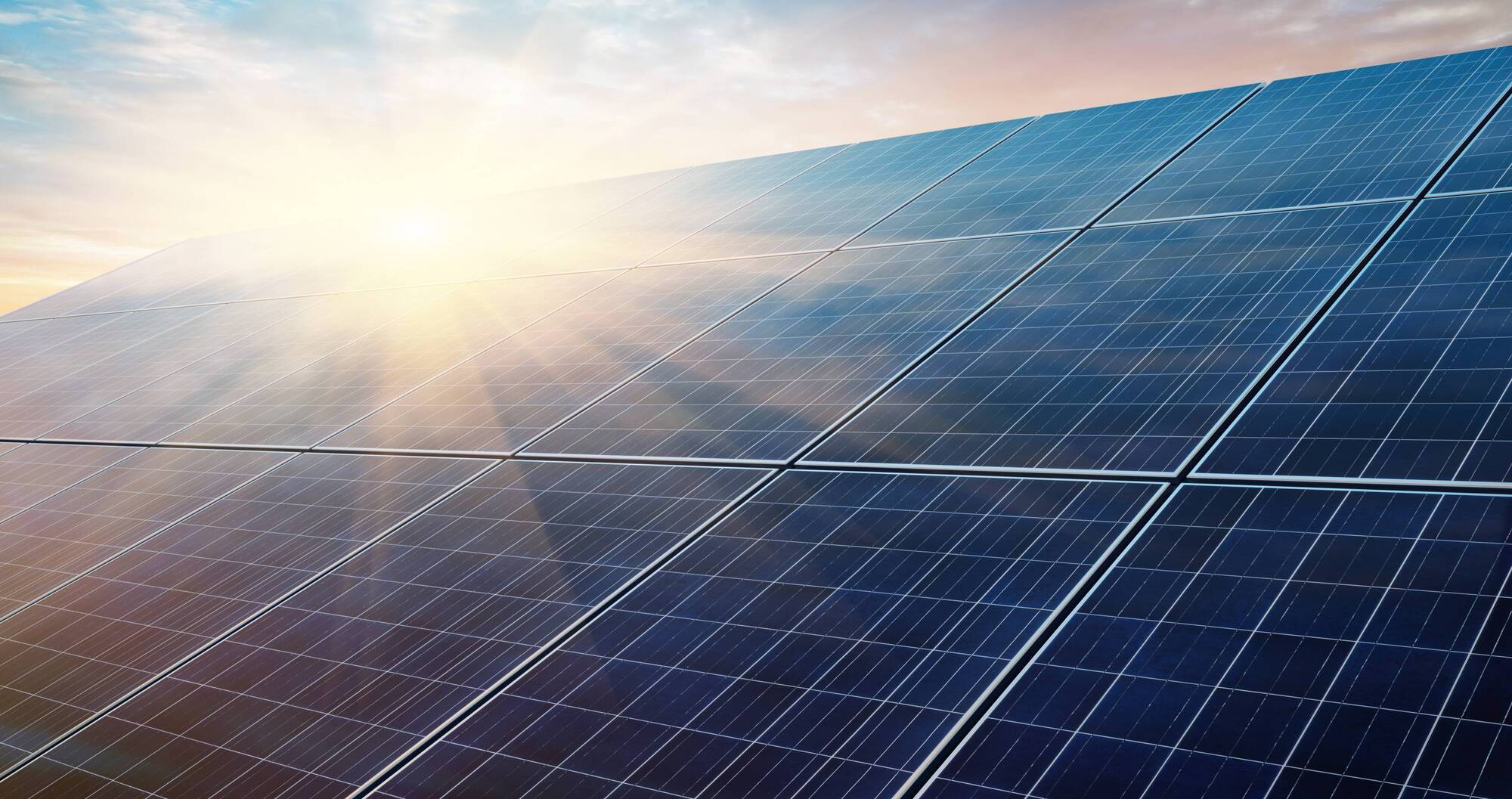 TAMS 3 funding for solar panels will 'help meet appetite' for renewable projects in farming